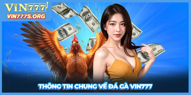 Thông tin chung về đá gà VIN777