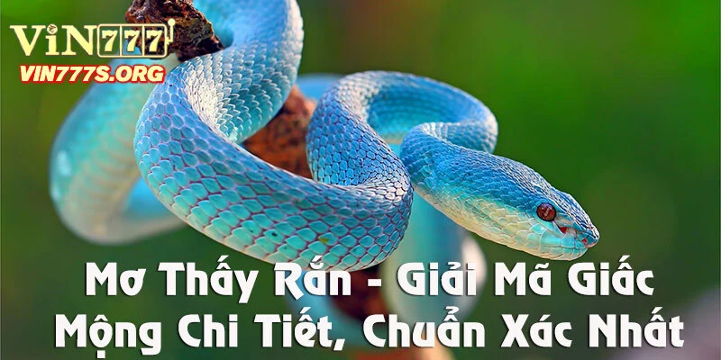 Nằm mơ thấy rắn